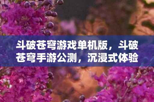 斗破苍穹游戏单机版，斗破苍穹手游公测，沉浸式体验，带你走进斗气大陆