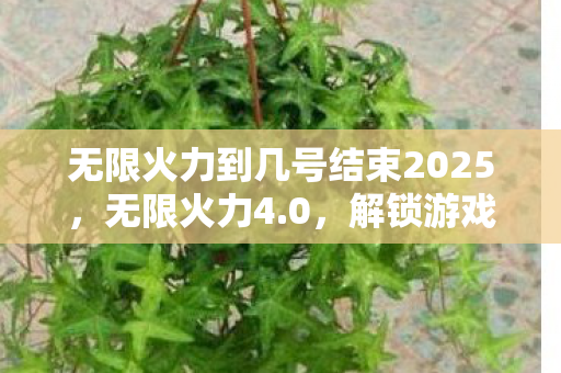 无限火力到几号结束2025，无限火力4.0，解锁游戏新境界的终极指南