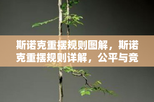 斯诺克重摆规则图解，斯诺克重摆规则详解，公平与竞技的守护者