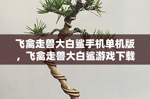 飞禽走兽大白鲨手机单机版，飞禽走兽大白鲨游戏下载，探索经典游戏的魅力
