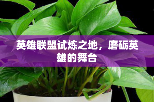 英雄联盟试炼之地，磨砺英雄的舞台