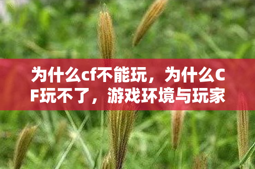 为什么cf不能玩，为什么CF玩不了，游戏环境与玩家体验的双重挑战