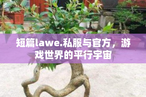 短篇lawe.私服与官方，游戏世界的平行宇宙