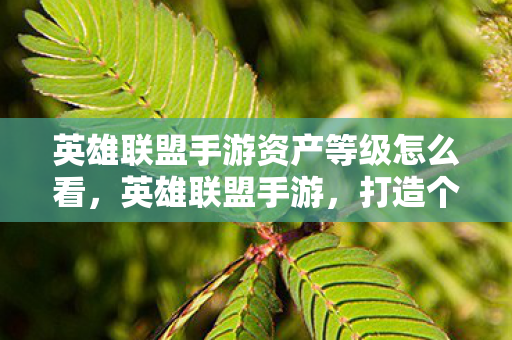 英雄联盟手游资产等级怎么看，英雄联盟手游，打造个性化游戏世界的资产探索