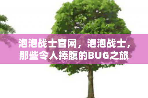 泡泡战士官网，泡泡战士，那些令人捧腹的BUG之旅