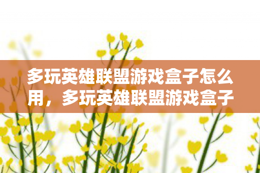 多玩英雄联盟游戏盒子怎么用，多玩英雄联盟游戏盒子，打造个性化游戏体验的必备神器