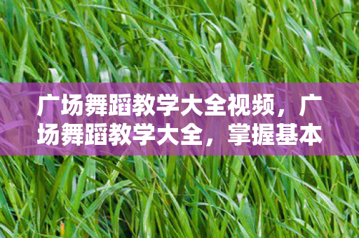 广场舞蹈教学大全视频,广场舞蹈教学大全,掌握基本舞步,展现优雅身姿 广场舞蹈教学大全视频,广场舞蹈教学大全,掌握基本舞步,展现优雅身姿