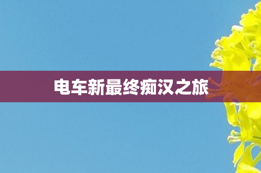 电车新最终痴汉之旅 电车新最终痴汉之旅