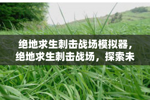 绝地求生刺击战场模拟器，绝地求生刺击战场，探索未知战场，挑战极限生存