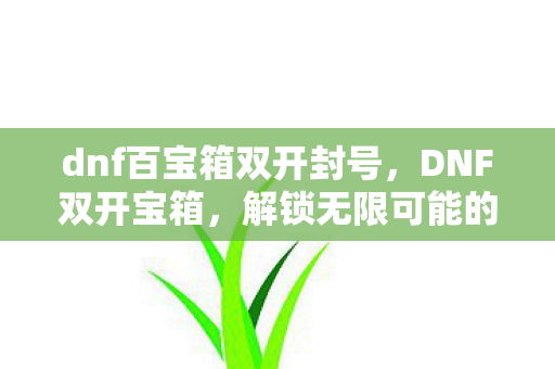 dnf百宝箱双开封号，DNF双开宝箱，解锁无限可能的冒险之旅