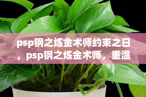 psp钢之炼金术师约束之日，psp钢之炼金术师，重温经典，探索游戏世界的奥秘