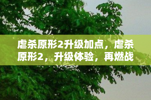 虐杀原形2升级加点，虐杀原形2，升级体验，再燃战斗激情