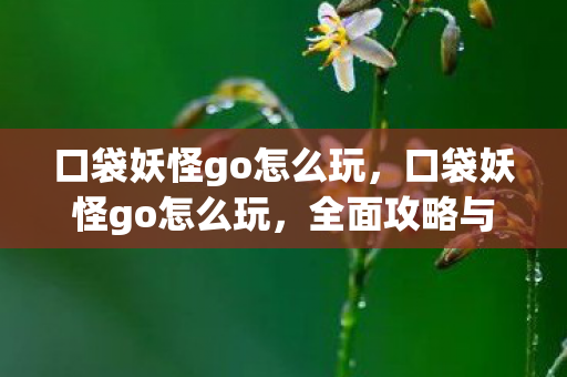 口袋妖怪go怎么玩，口袋妖怪go怎么玩，全面攻略与技巧分享