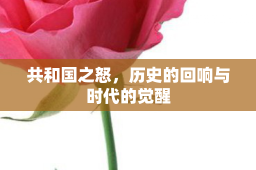 共和国之怒，历史的回响与时代的觉醒