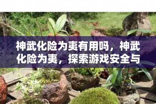 神武化险为夷有用吗，神武化险为夷，探索游戏安全与官方授权的边界