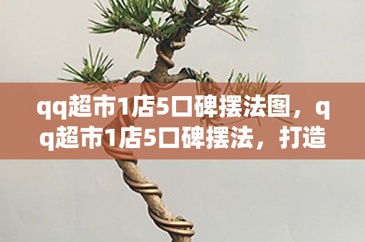 qq超市1店5口碑摆法图，qq超市1店5口碑摆法，打造卓越顾客体验的关键