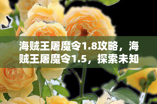 海贼王屠魔令1.8攻略，海贼王屠魔令1.5，探索未知海域的冒险之旅