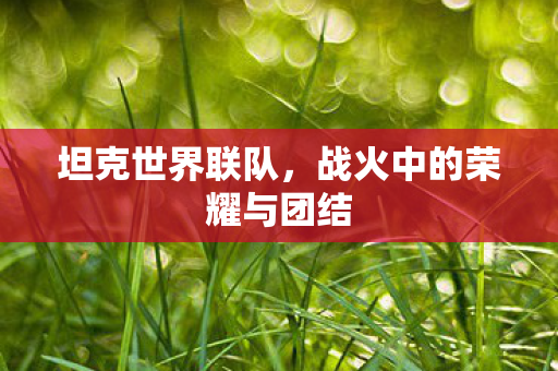 坦克世界联队，战火中的荣耀与团结