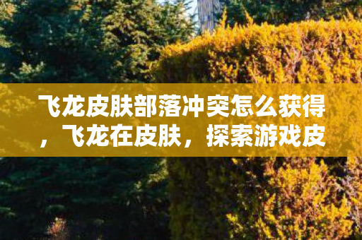 飞龙皮肤部落冲突怎么获得，飞龙在皮肤，探索游戏皮肤的魅力与影响