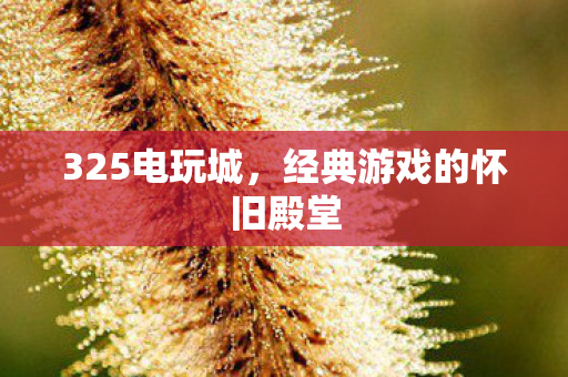 325电玩城，经典游戏的怀旧殿堂