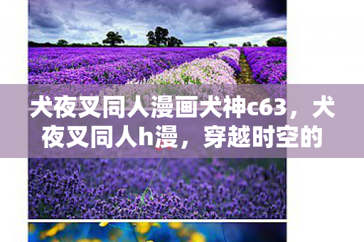 犬夜叉同人漫画犬神c63，犬夜叉同人h漫，穿越时空的浪漫邂逅