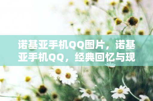 诺基亚手机QQ图片，诺基亚手机QQ，经典回忆与现代科技的融合