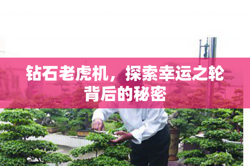 钻石老虎机，探索幸运之轮背后的秘密