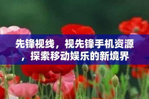 先锋视线,视先锋手机资源,探索移动娱乐的新境界 先锋视线,视先锋手机资源,探索移动娱乐的新境界