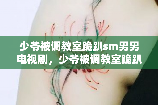 少爷被调教室跪趴sm男男电视剧，少爷被调教室跪趴SM男男，探索禁忌之爱的边界