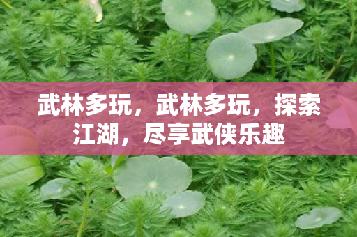 武林多玩，武林多玩，探索江湖，尽享武侠乐趣