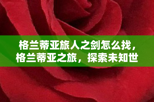 格兰蒂亚旅人之剑怎么找，格兰蒂亚之旅，探索未知世界的奇幻旅程