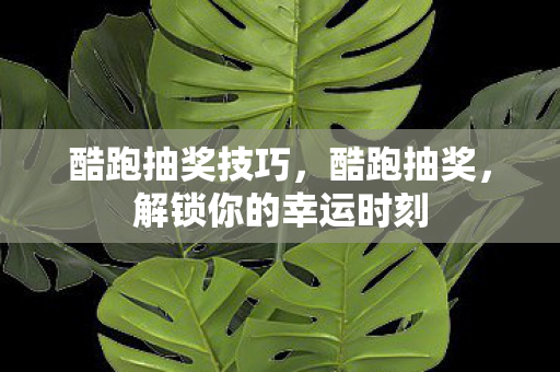 酷跑抽奖技巧，酷跑抽奖，解锁你的幸运时刻