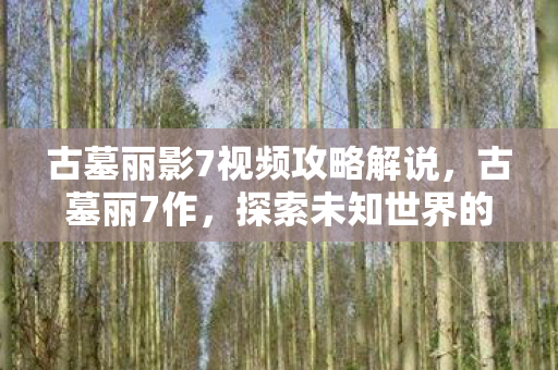 古墓丽影7视频攻略解说，古墓丽7作，探索未知世界的奇幻之旅