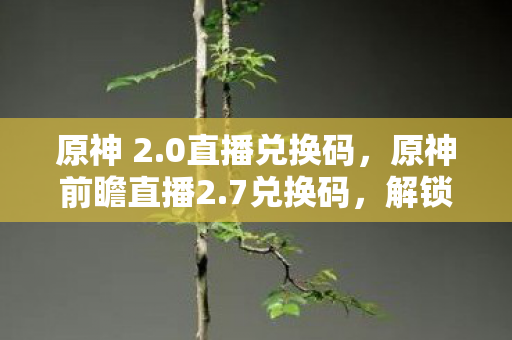 原神 2.0直播兑换码，原神前瞻直播2.7兑换码，解锁新世界的钥匙