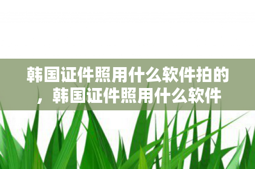 韩国证件照用什么软件拍的，韩国证件照用什么软件