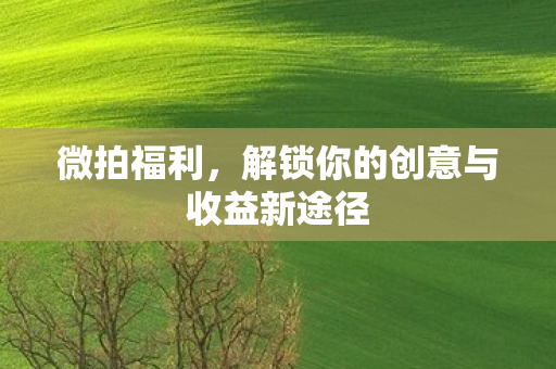 微拍福利，解锁你的创意与收益新途径