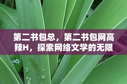第二书包总，第二书包网高辣H，探索网络文学的无限可能