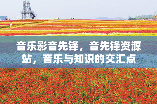 音乐影音先锋，音先锋资源站，音乐与知识的交汇点