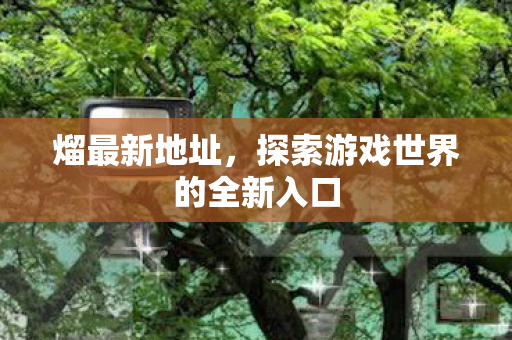 熘最新地址，探索游戏世界的全新入口
