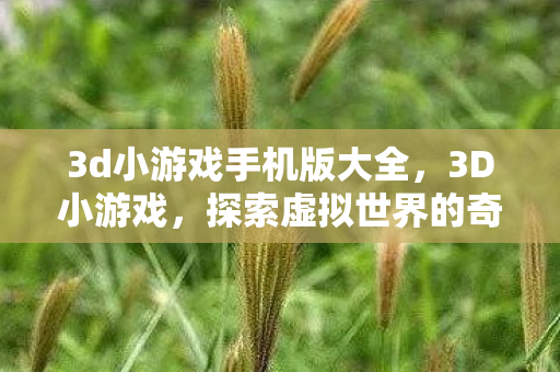 3d小游戏手机版大全，3D小游戏，探索虚拟世界的奇妙之旅