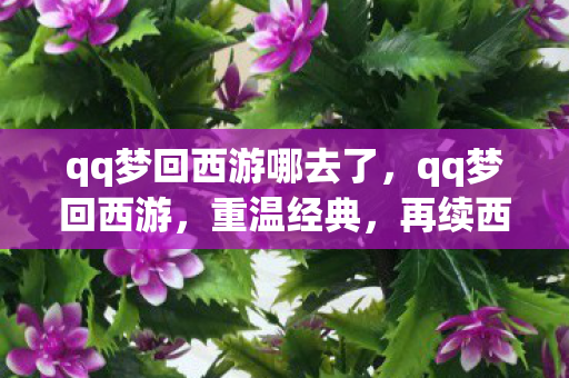 qq梦回西游哪去了，qq梦回西游，重温经典，再续西游情缘