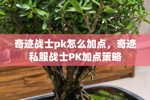 奇迹战士pk怎么加点，奇迹私服战士PK加点策略