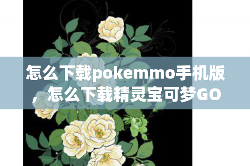 怎么下载pokemmo手机版，怎么下载精灵宝可梦GO