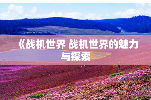《战机世界 战机世界的魅力与探索