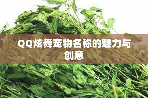 QQ炫舞宠物名称的魅力与创意