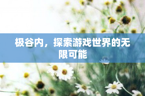 极谷内，探索游戏世界的无限可能