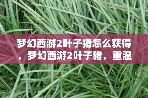 梦幻西游2叶子猪怎么获得，梦幻西游2叶子猪，重温经典，探索未知