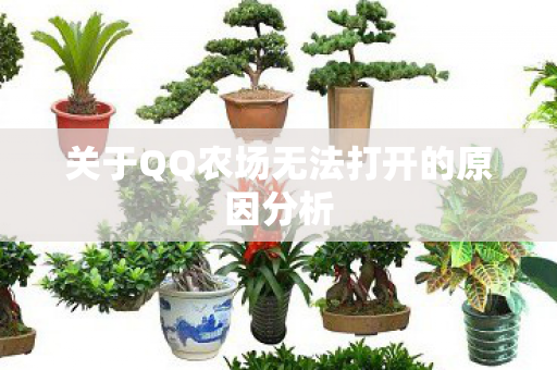 关于QQ农场无法打开的原因分析