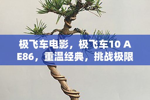 极飞车电影，极飞车10 AE86，重温经典，挑战极限