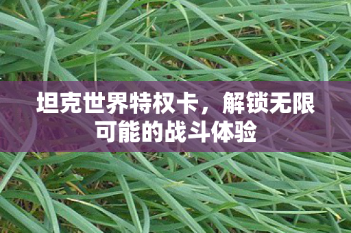 坦克世界特权卡，解锁无限可能的战斗体验